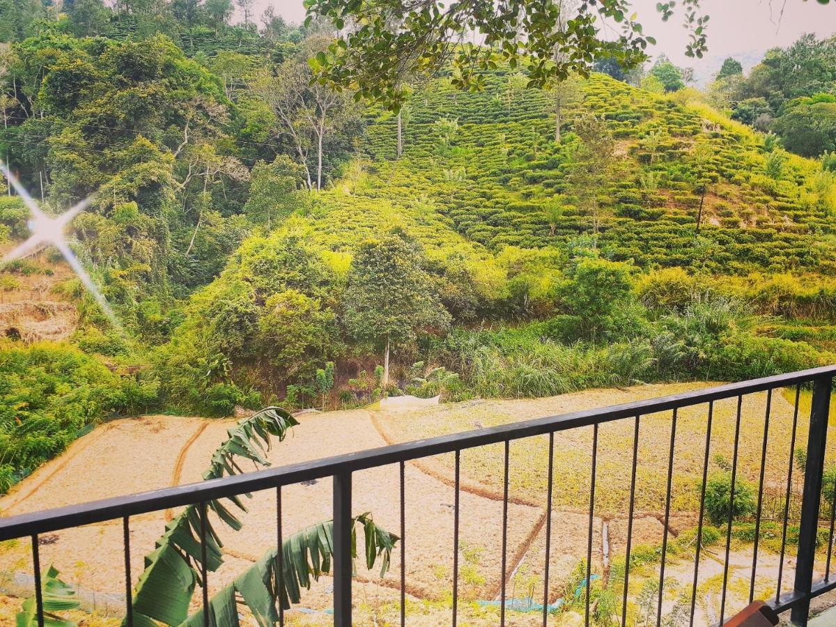Ayubo Ella - Bed & Breakfast Bagian luar foto