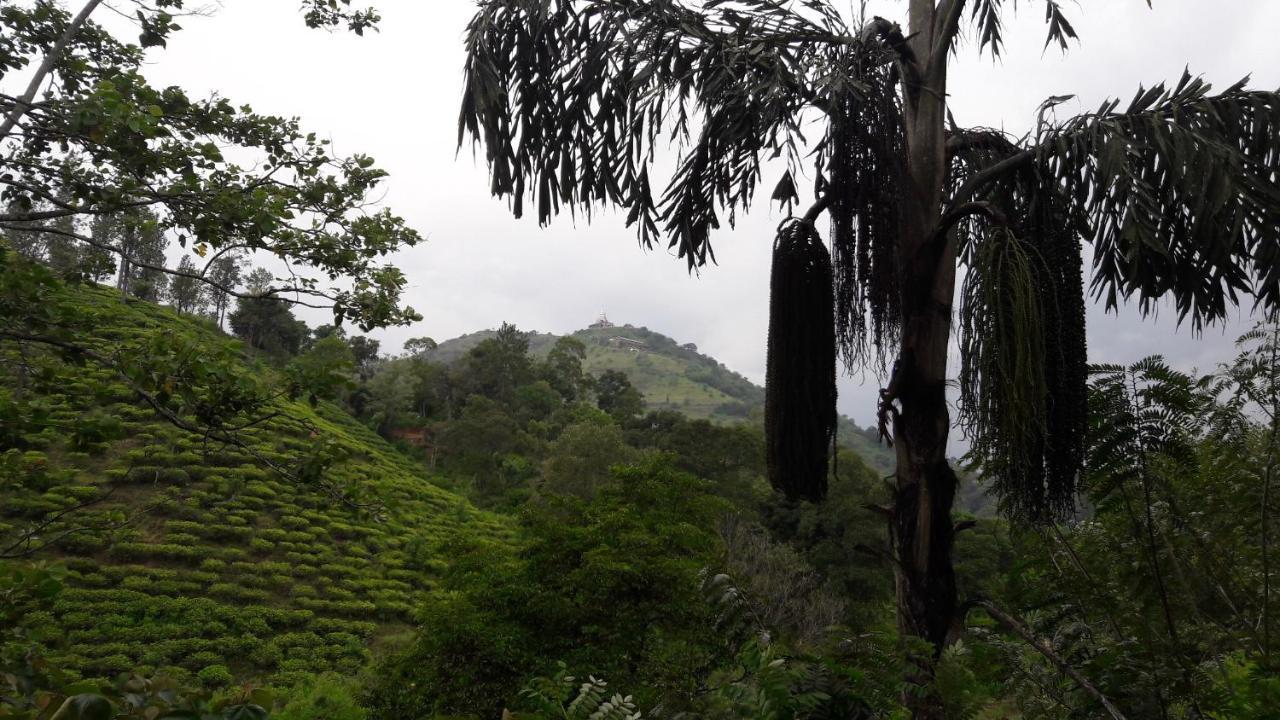 Ayubo Ella - Bed & Breakfast Bagian luar foto