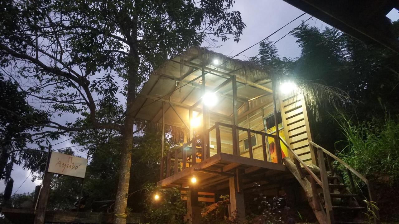 Ayubo Ella - Bed & Breakfast Bagian luar foto