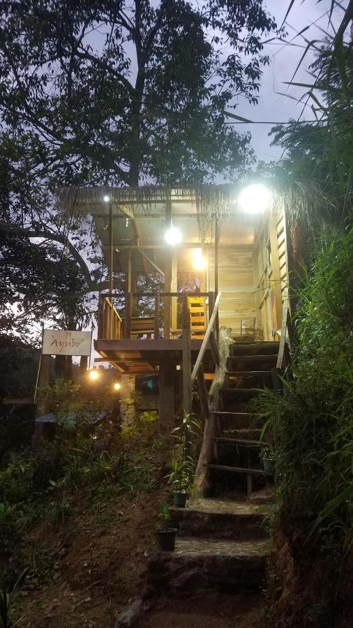 Ayubo Ella - Bed & Breakfast Bagian luar foto