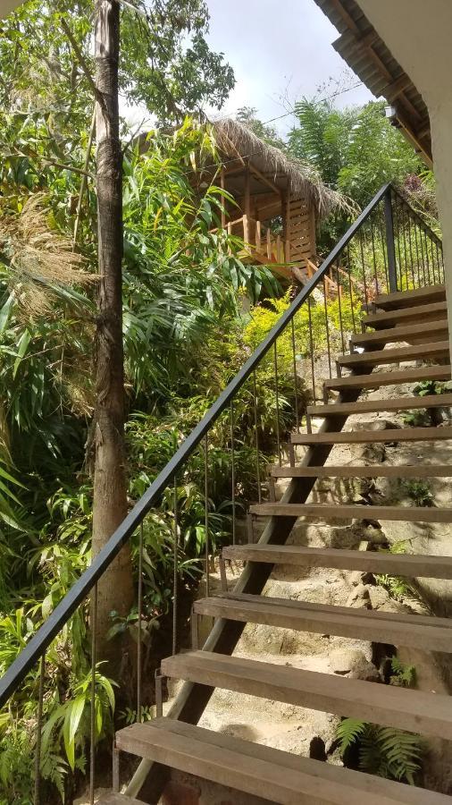 Ayubo Ella - Bed & Breakfast Bagian luar foto
